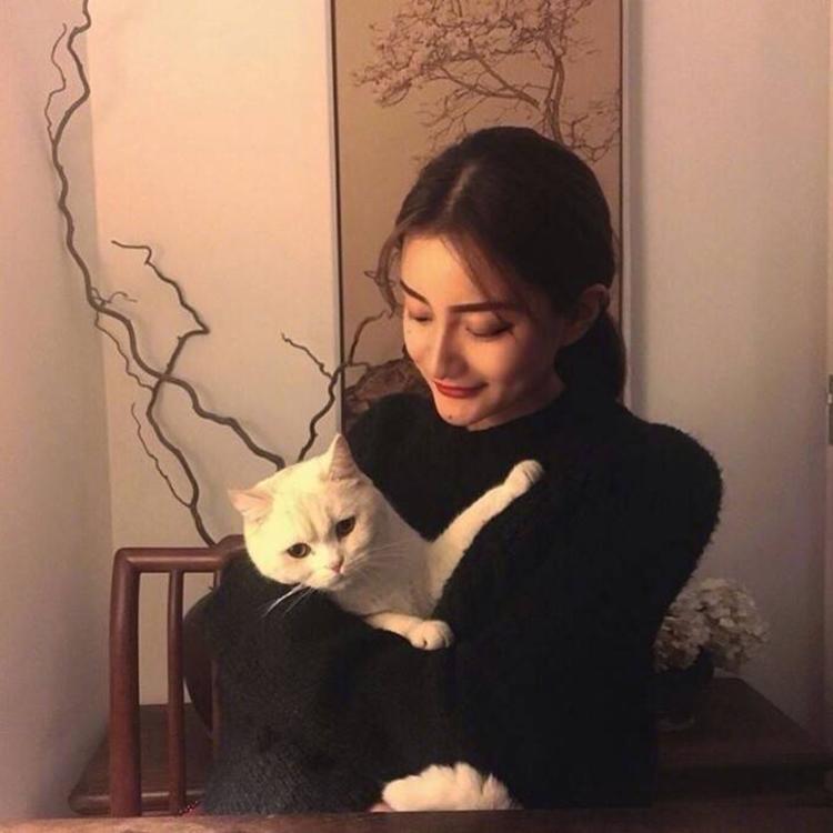 志志雄真实（身份：维新派刽子手、剑心老冤家） - 动作大片蓝光在线观看 - 网络观看